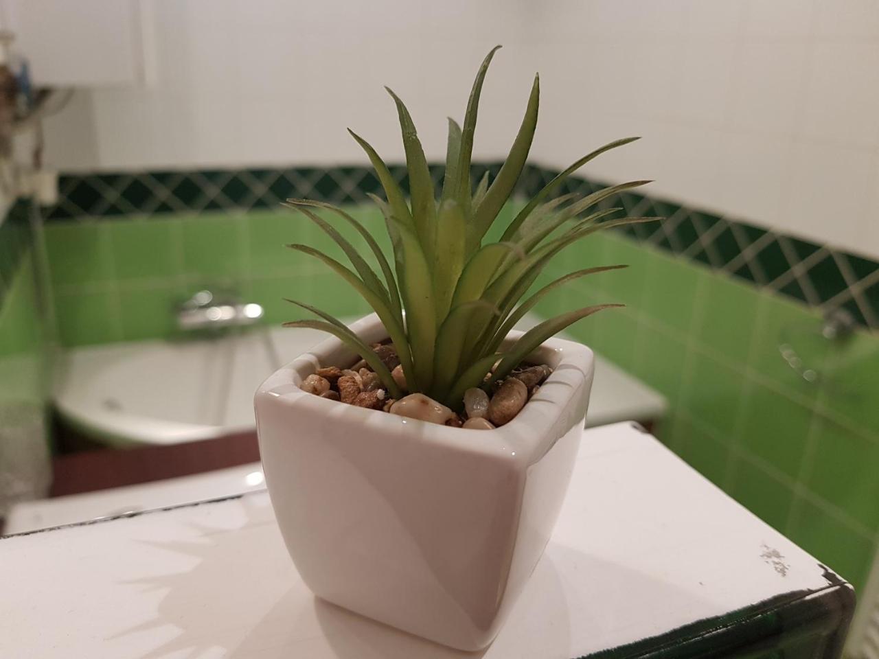 Deak Apartman Шопрон Экстерьер фото